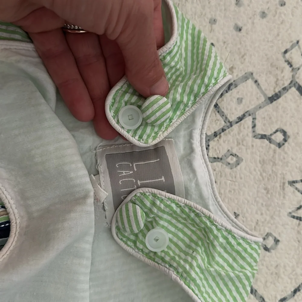 Cactus Green Striped Sailboat bubble .